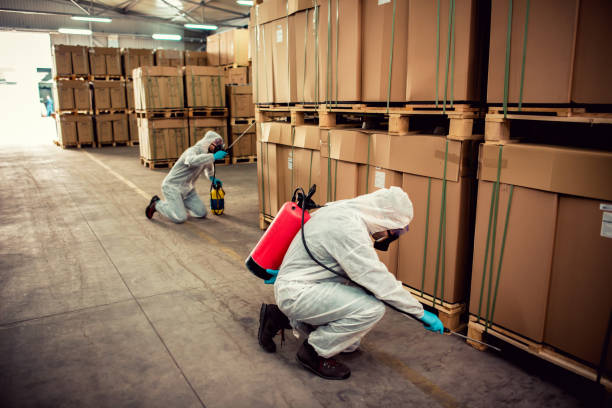 Best Wasp Removal Services  in Jermyn, PA