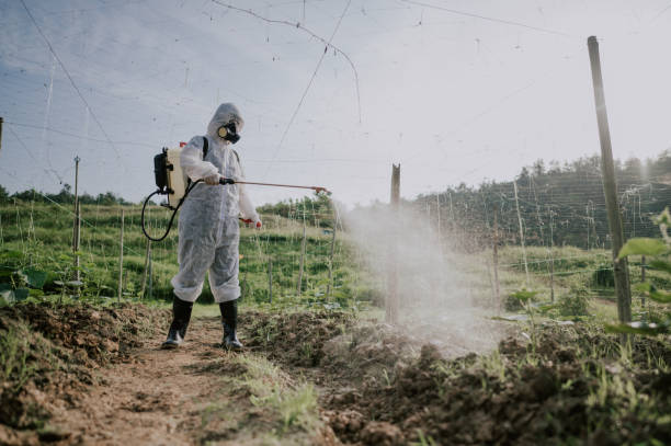 Pest Prevention Services in Jermyn, PA