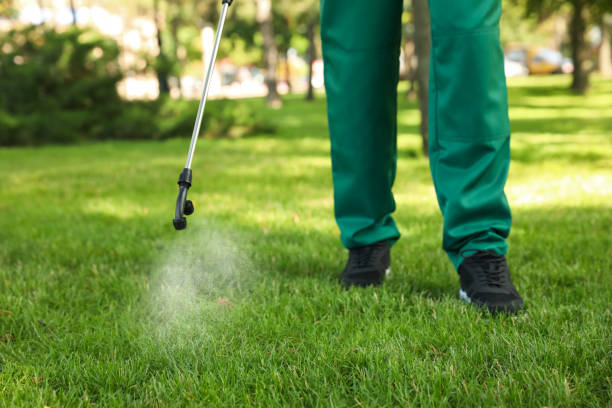 Best Local Pest Control Services  in Jermyn, PA