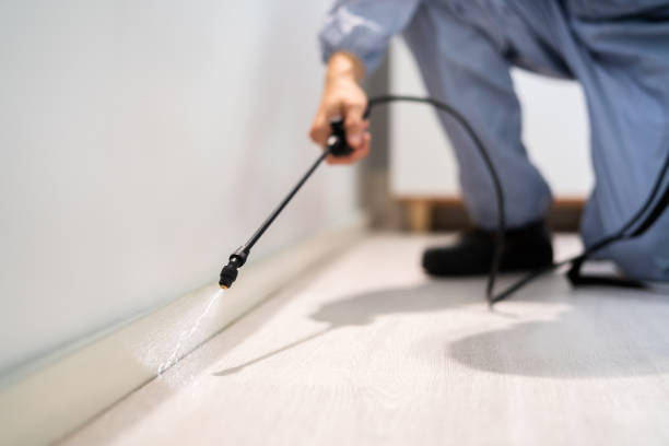 Professional Pest Control in Jermyn, PA