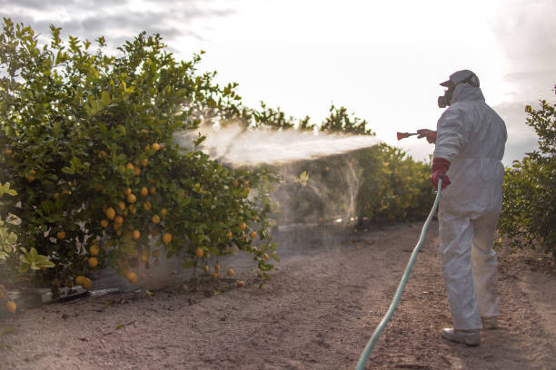 Best Cockroach Control Services  in Jermyn, PA